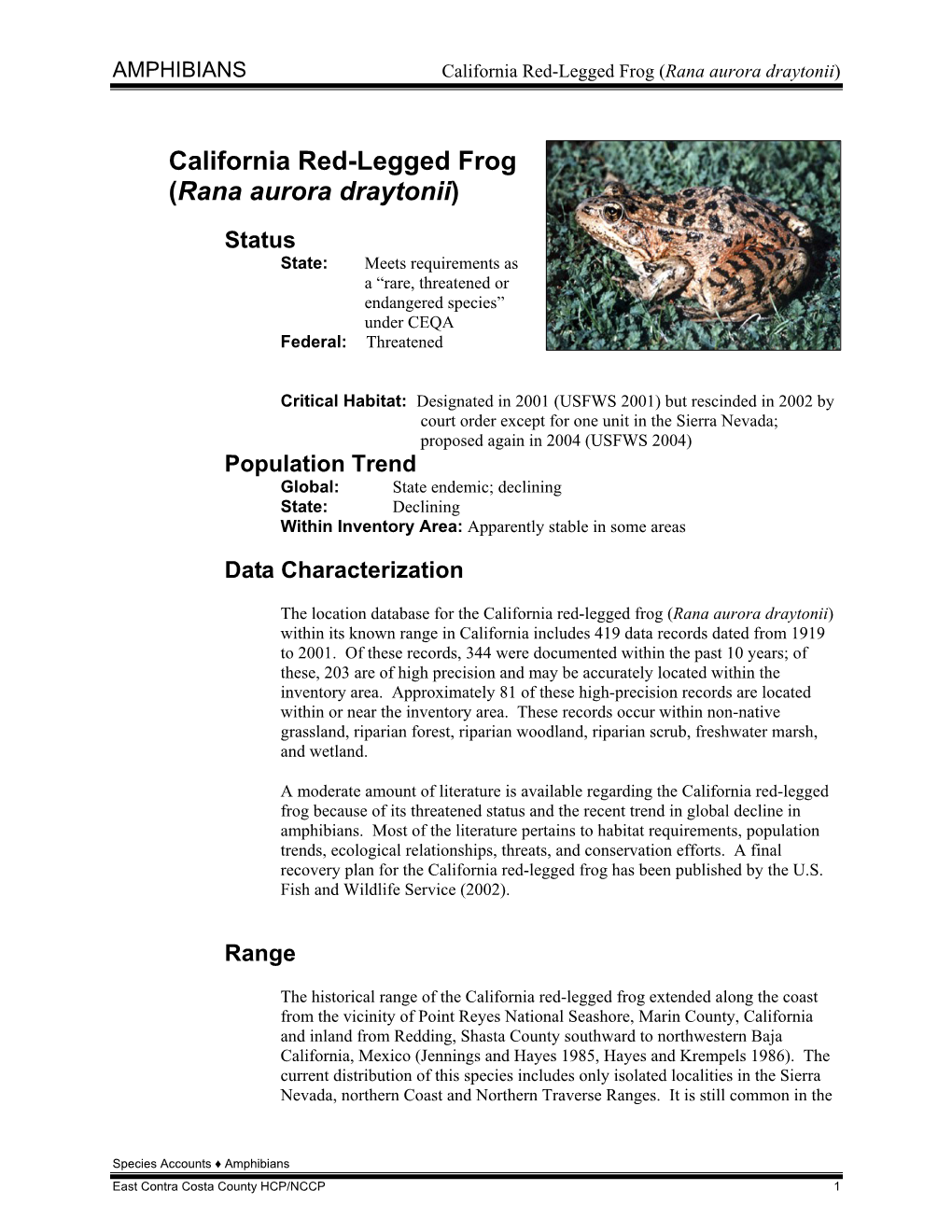 California Red-Legged Frog (Rana Aurora Draytonii)