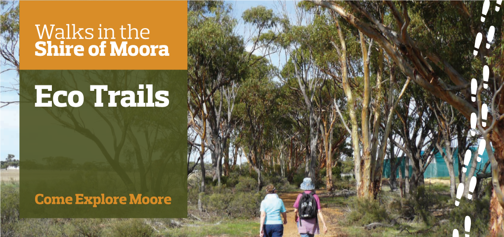 Download a Brochure on Eco Trails Walks in the Shire of Moora