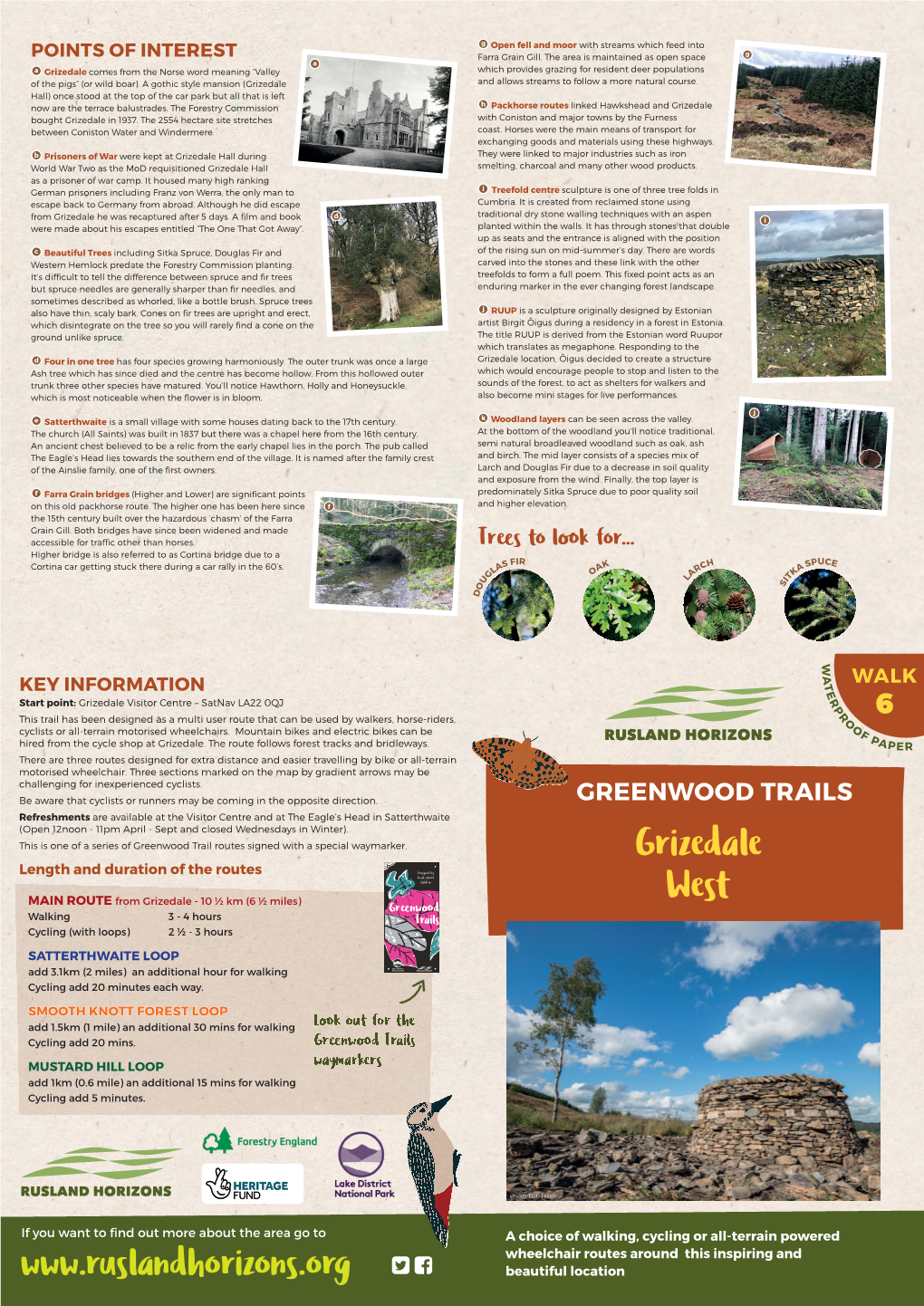 Greenwood Trail 6: Grizedale West(4