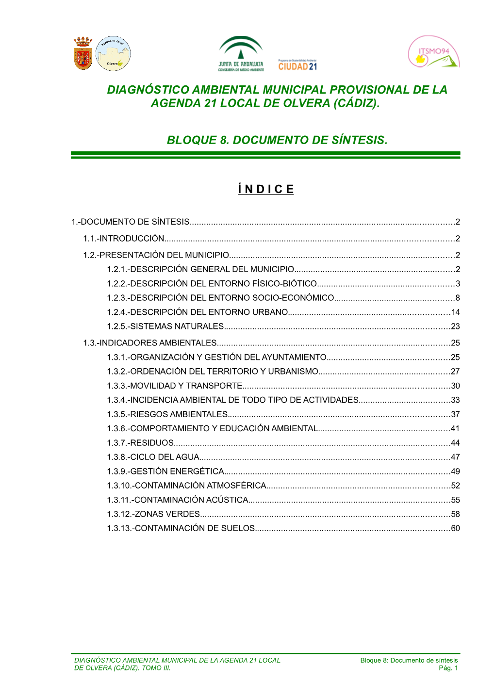 Diagnóstico Ambiental Municipal Provisional De La Agenda 21 Local De Olvera (C Diz). Bloque 8. Documento De Síntesis. Í N