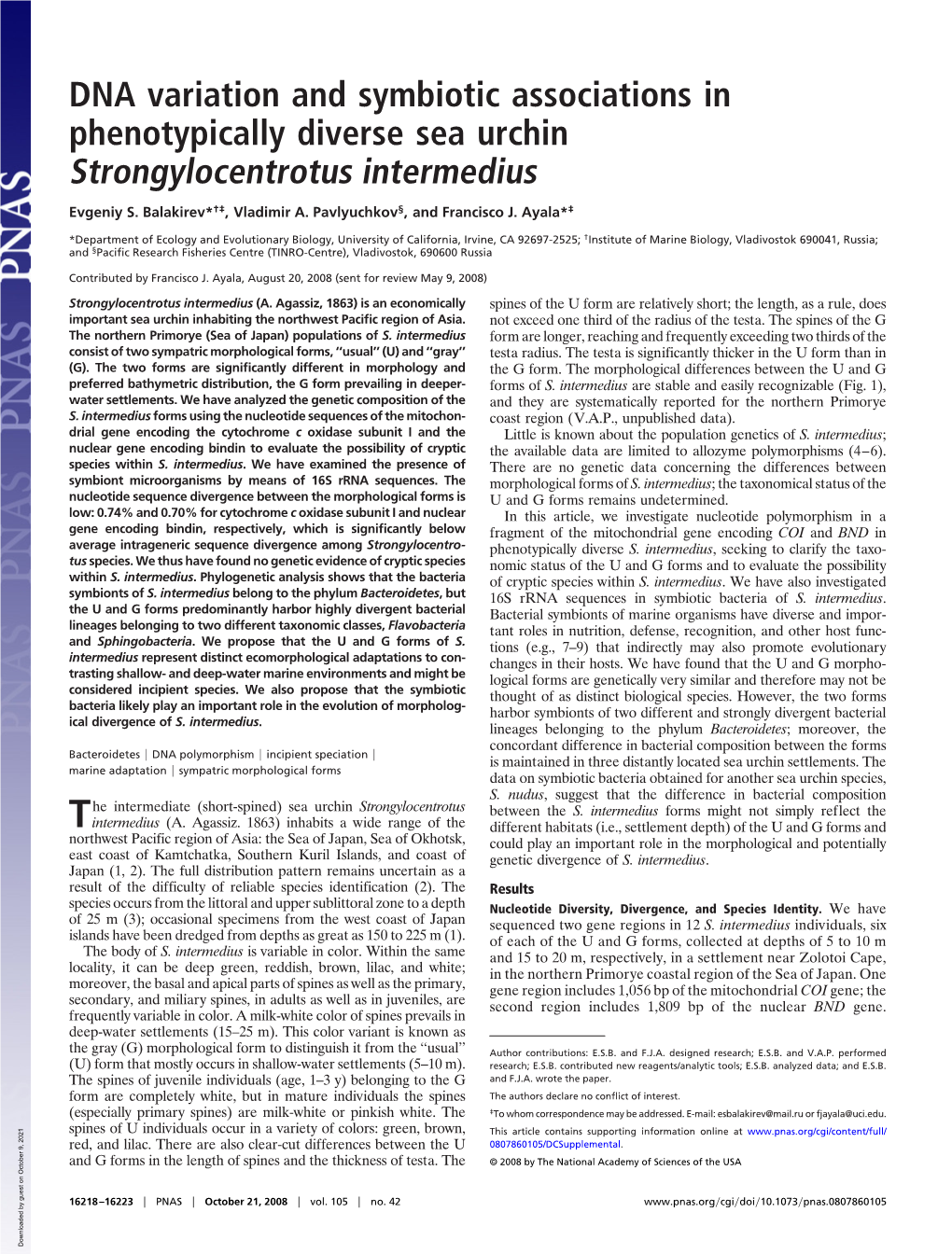 DNA Variation and Symbiotic Associations in Phenotypically Diverse Sea Urchin Strongylocentrotus Intermedius