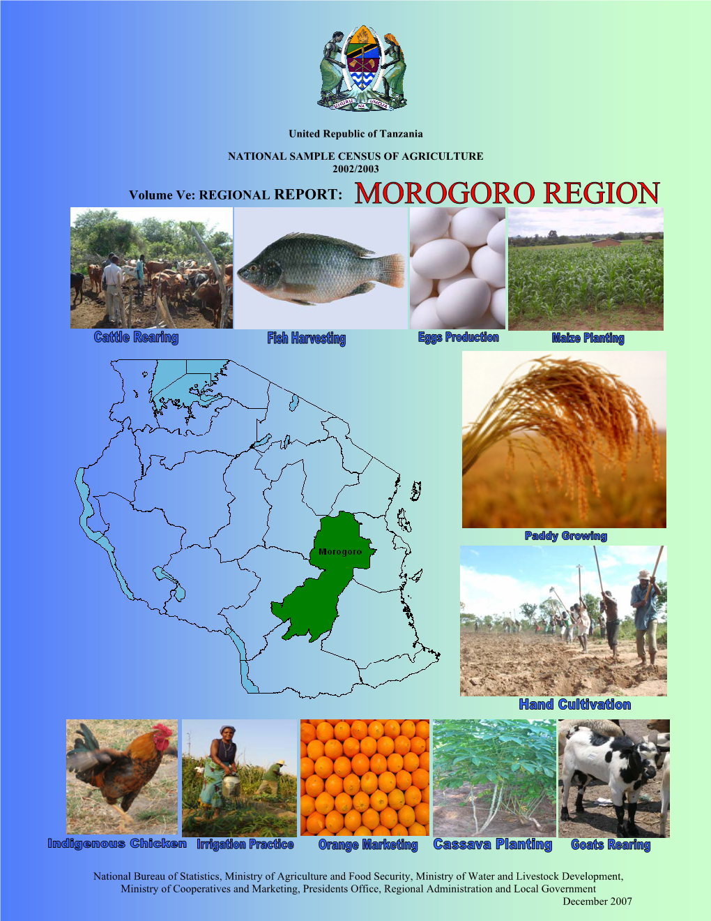 Morogoro Report.Pdf
