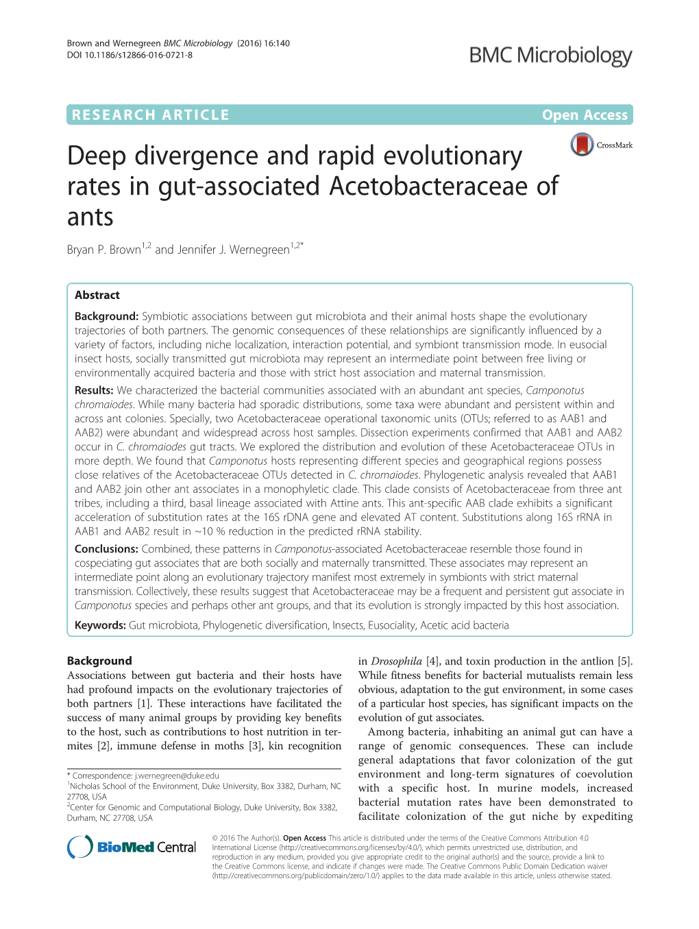 Deep Divergence and Rapid Evolutionary Rates in Gut-Associated Acetobacteraceae of Ants Bryan P