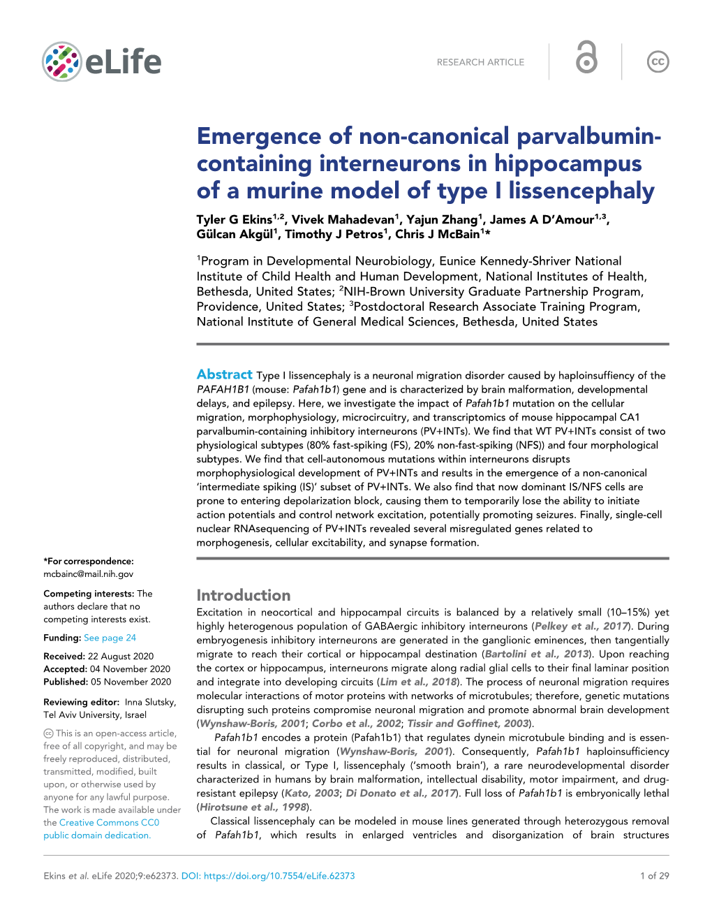 Containing Interneurons in Hippocampus of a Murine