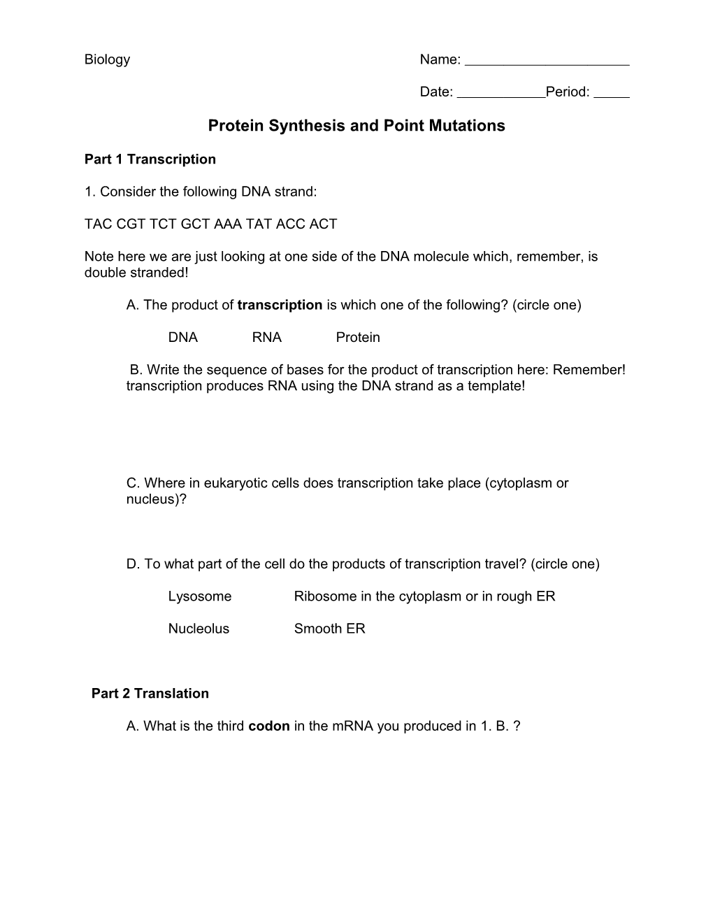 Protein Synthesis and Point Mutations