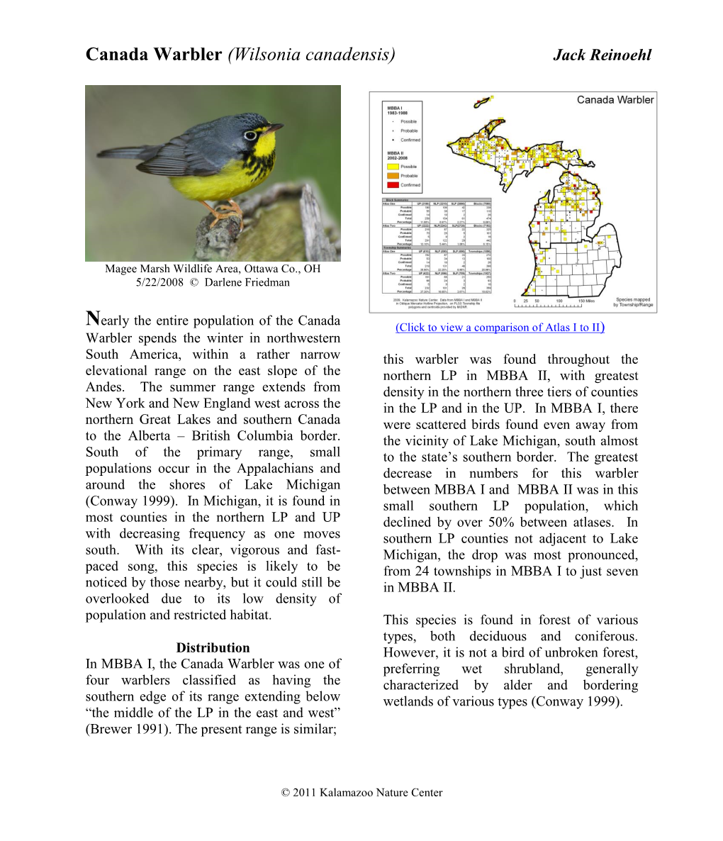 Canada Warbler (Wilsonia Canadensis) Jack Reinoehl