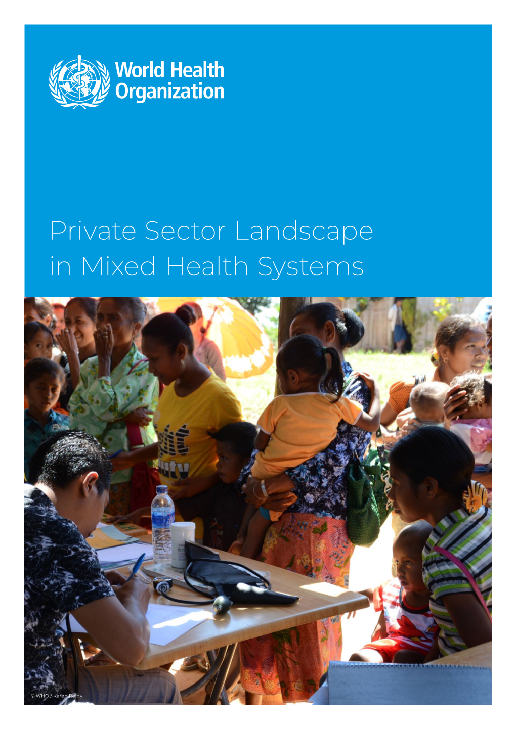 Private Sector Landscape in Mixed Health Systems