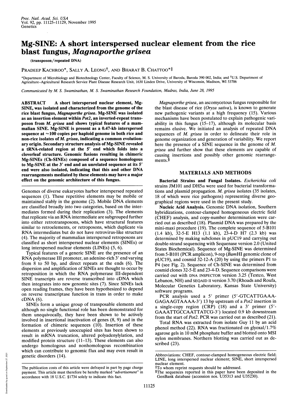 Mg-SINE: a Short Interspersed Nuclear Element from the Rice Blast Fungus, Magnaporthe Grisea (Transposon/Repeated DNA) PRADEEP KACHROO*, SALLY A