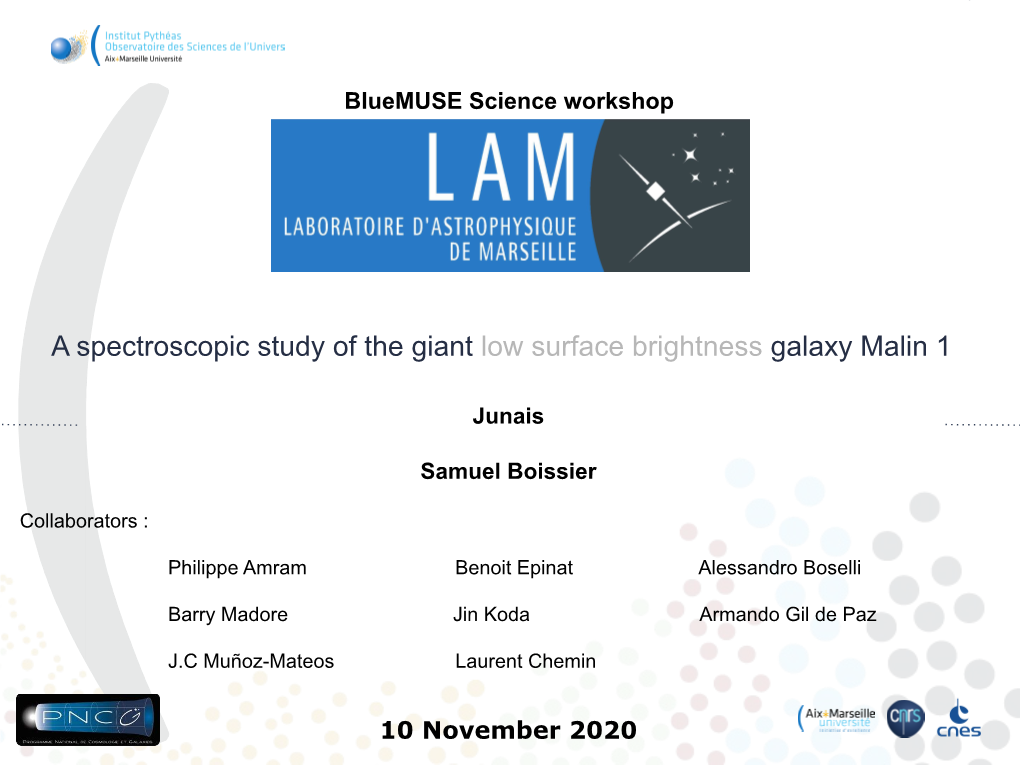 A Spectroscopic Study of the Giant Low Surface Brightness Galaxy Malin 1