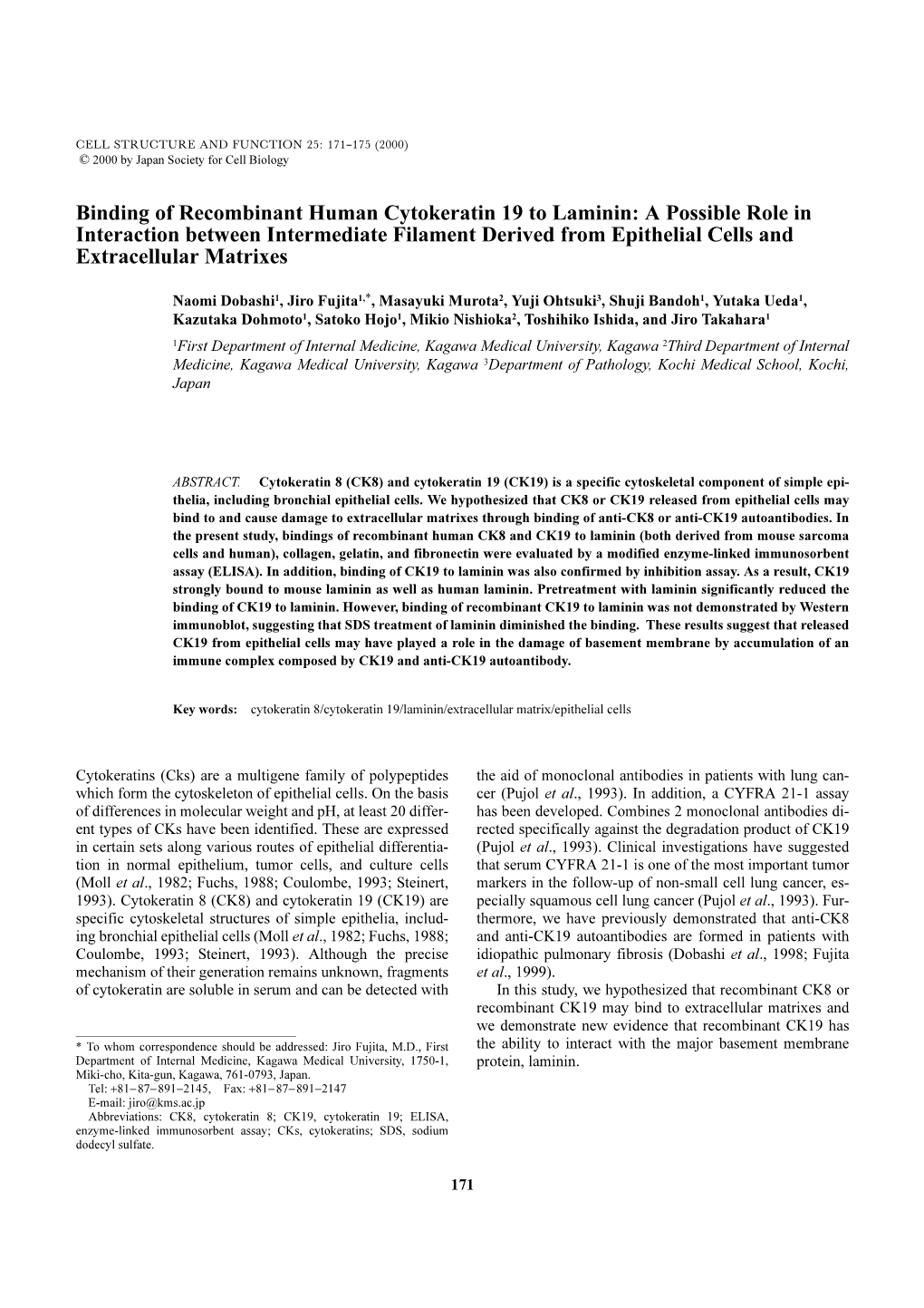 Binding of Recombinant Human Cytokeratin 19 to Laminin