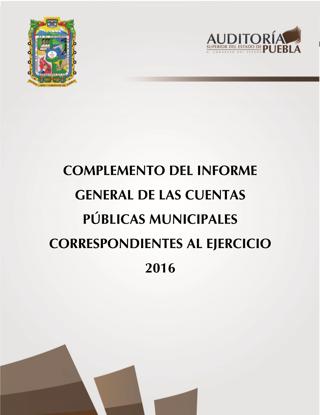 Informe General De Las Cuentas Públicas Municipales 2016
