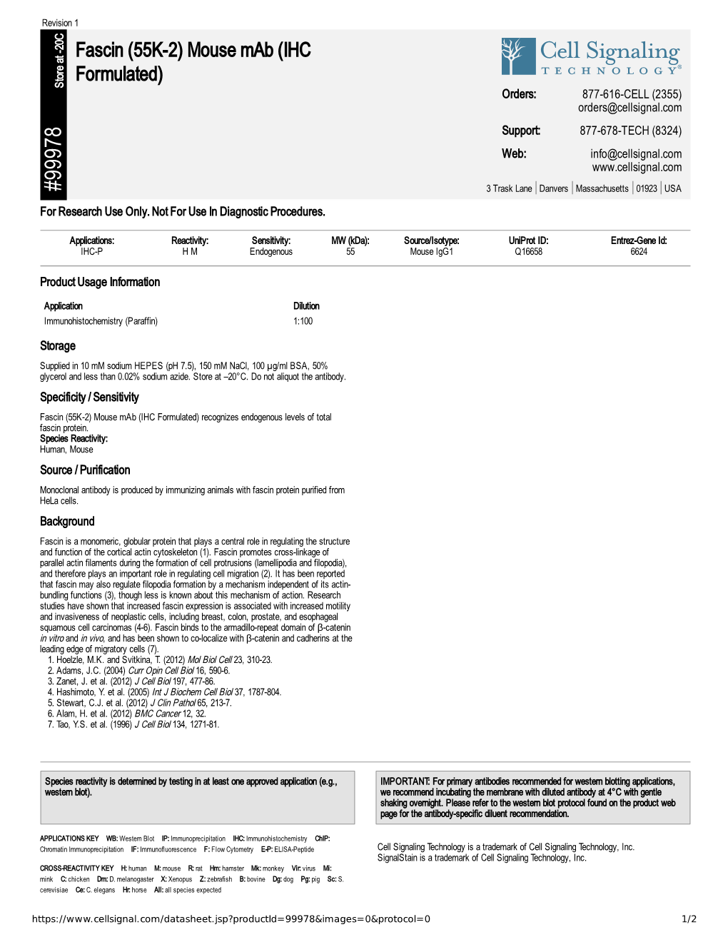 99978 Fascin (55K-2) Mouse Mab (IHC Formulated)