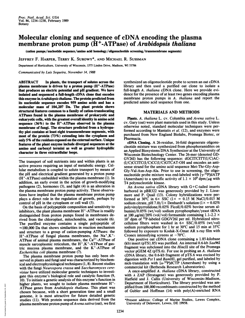 Molecular Cloning and Sequence of Cdna Encoding the Plasma