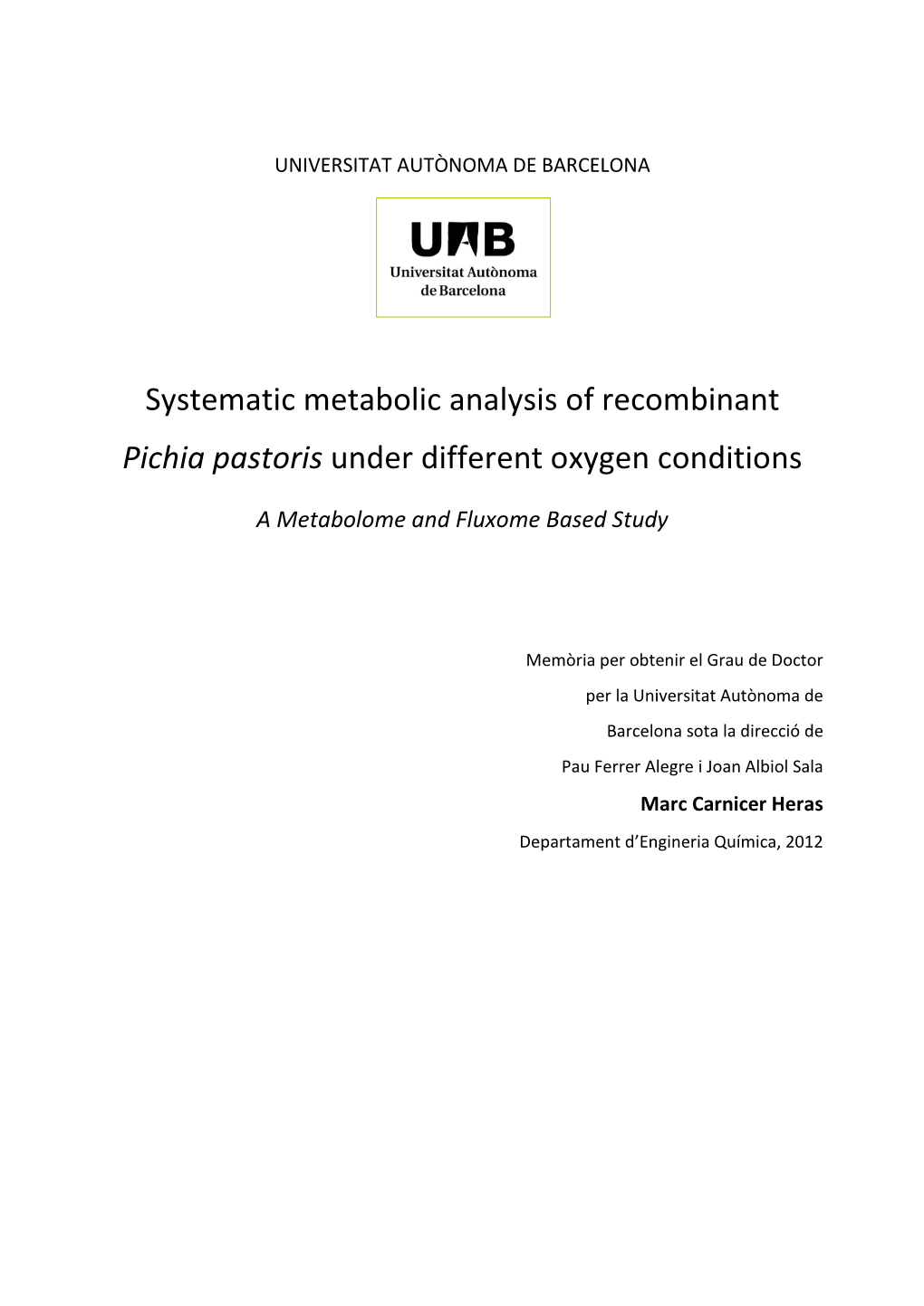 Systematic Metabolic Analysis of Recombinant Pichia Pastoris Under Different Oxygen Conditions