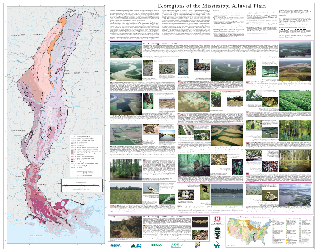 Ecoregions of the Mississippi Alluvial Plain