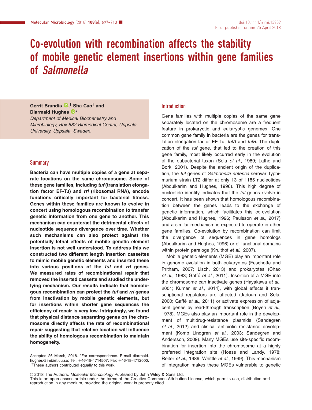 Evolution with Recombination Affects the Stability of Mobile Genetic Element Insertions Within Gene Families of Salmonella