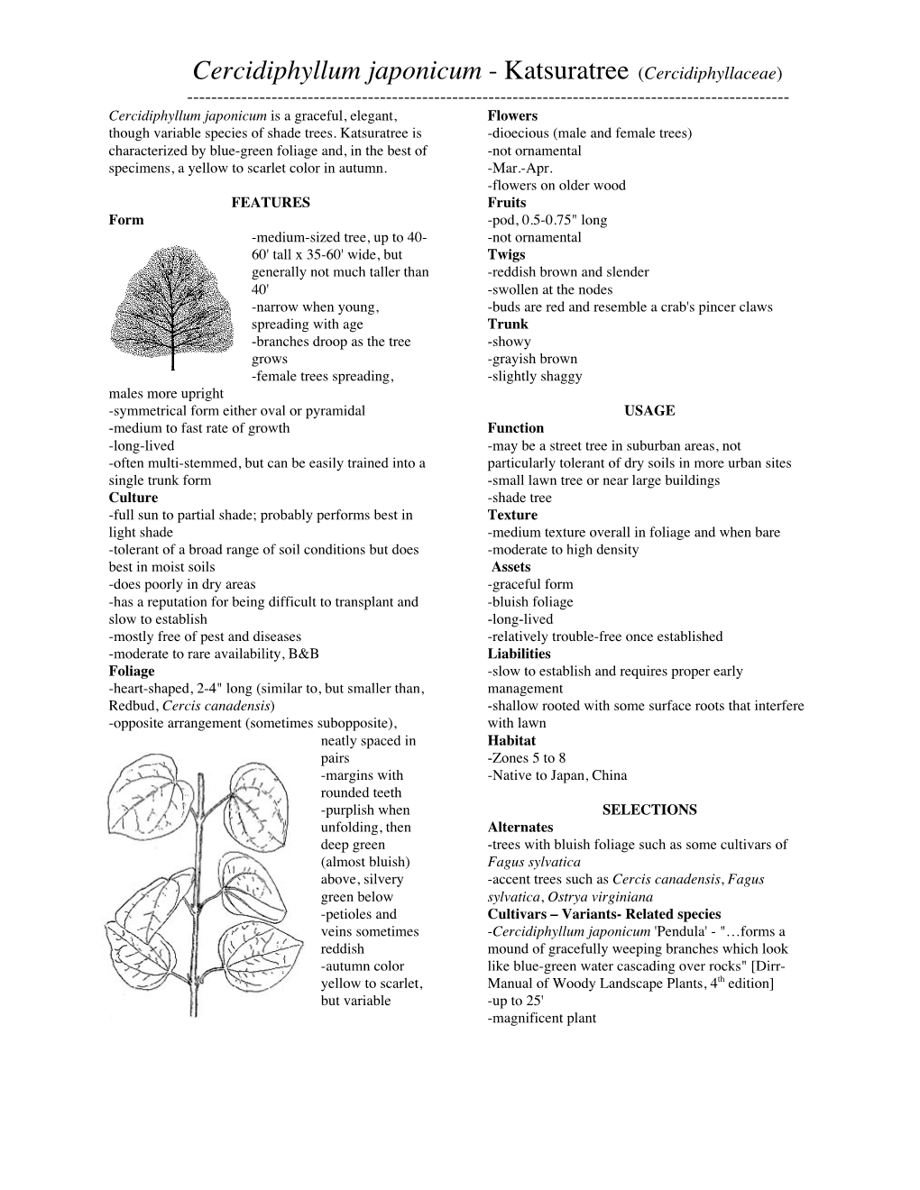 Cercidiphyllum Japonicum - Katsuratree (Cercidiphyllaceae) ------Cercidiphyllum Japonicum Is a Graceful, Elegant, Flowers Though Variable Species of Shade Trees
