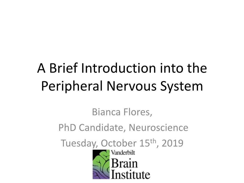 A Brief Introduction Into the Peripheral Nervous System