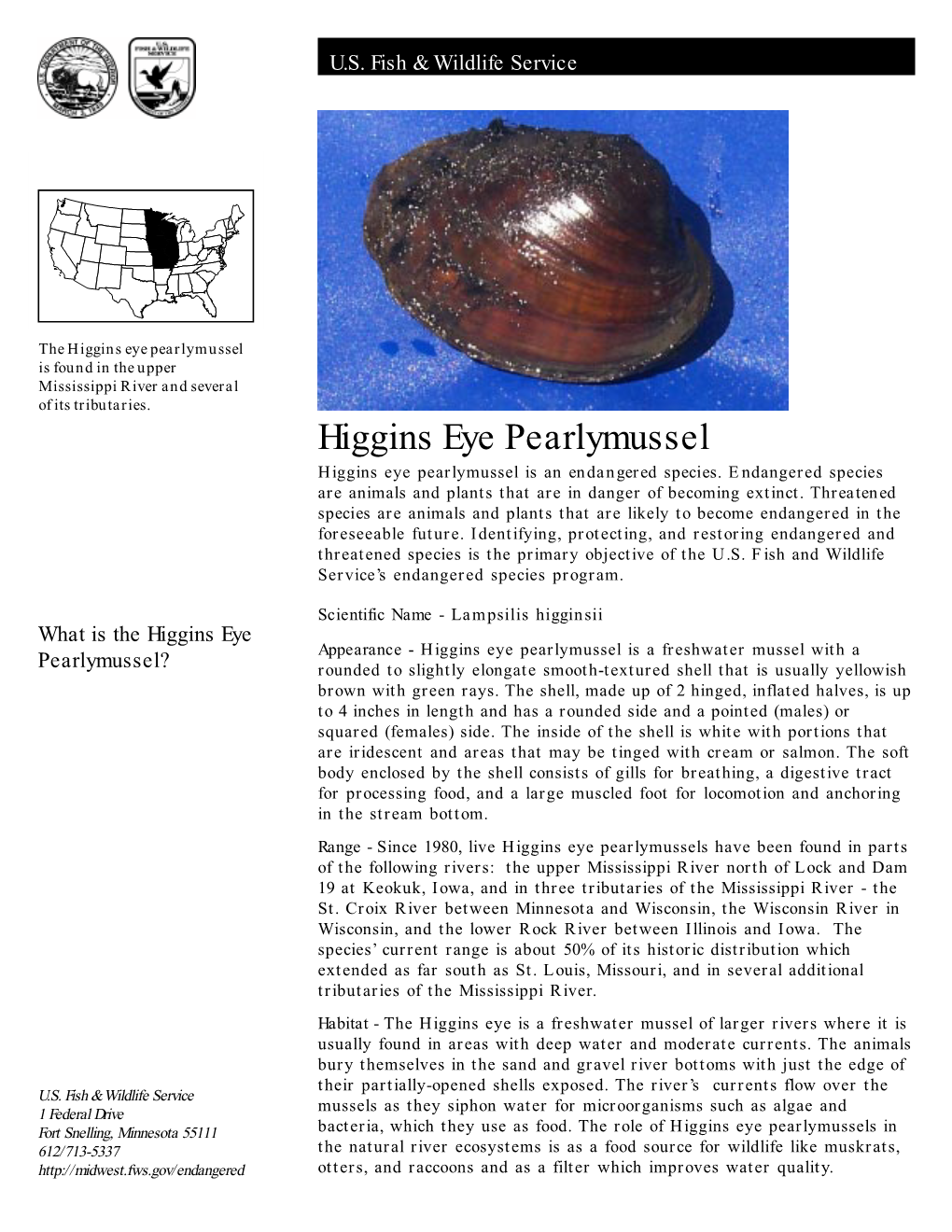 Higgins Eye Pearlymussel Is Found in the Upper Mississippi River and Several of Its Tributaries