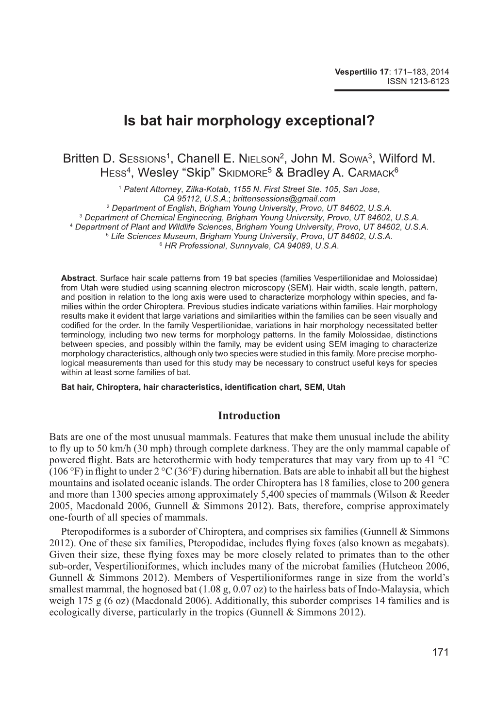 Is Bat Hair Morphology Exceptional?