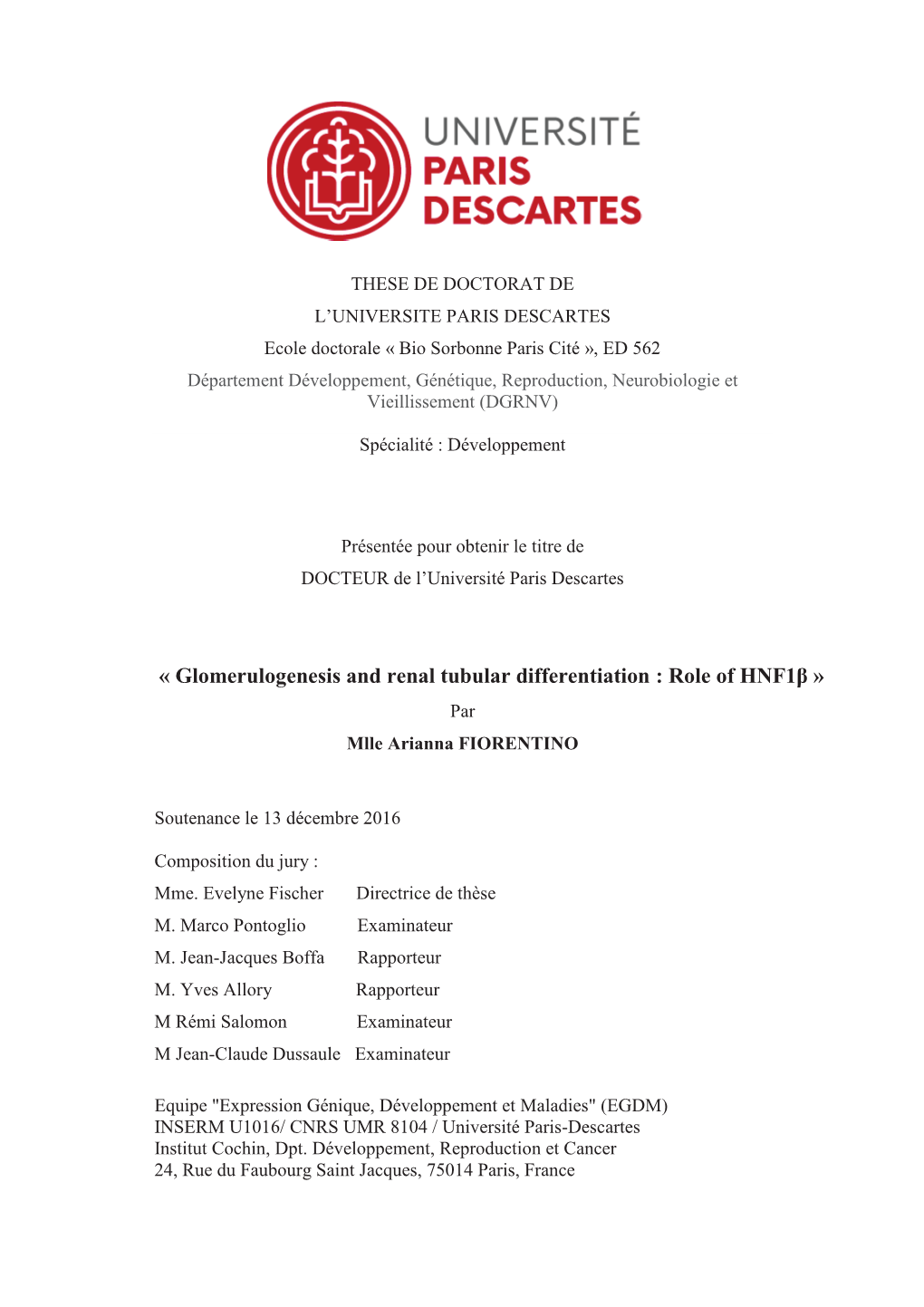 « Glomerulogenesis and Renal Tubular Differentiation : Role of Hnf1β »