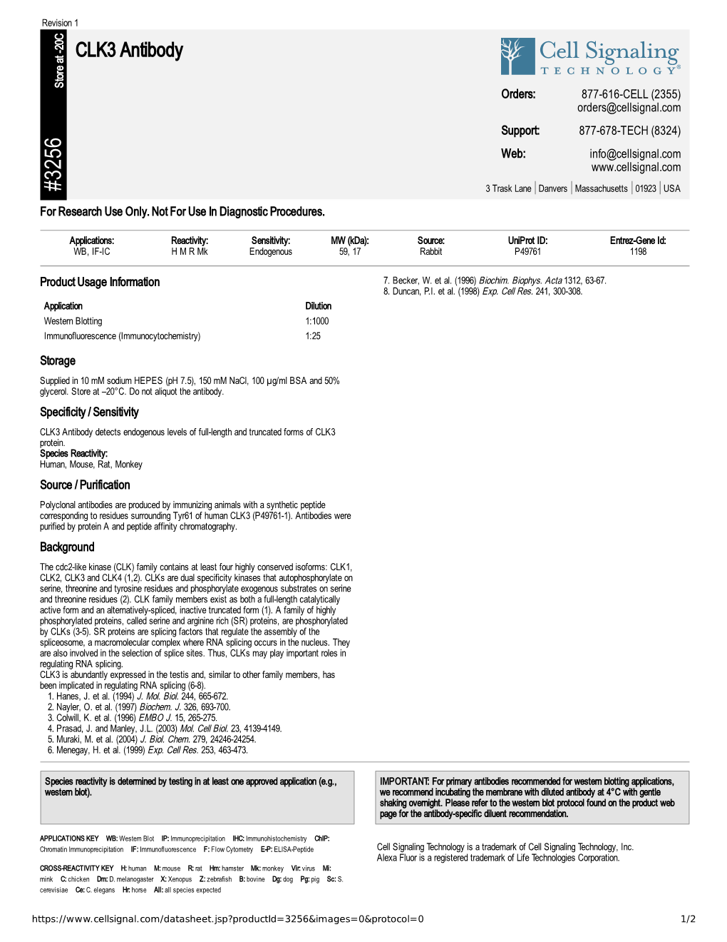 CLK3 Antibody A