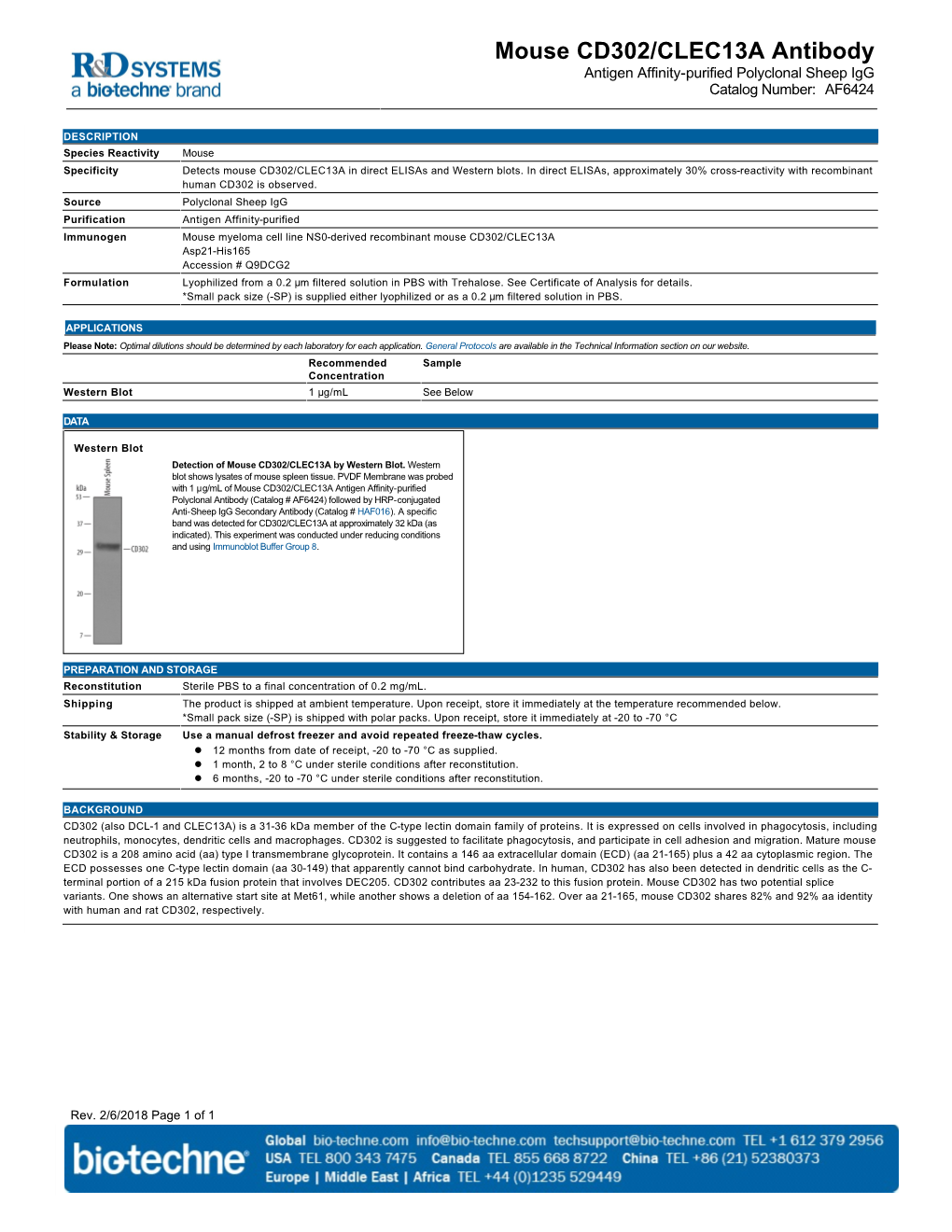 Mouse CD302/CLEC13A Antibody Antigen Affinity-Purified Polyclonal Sheep Igg Catalog Number: AF6424