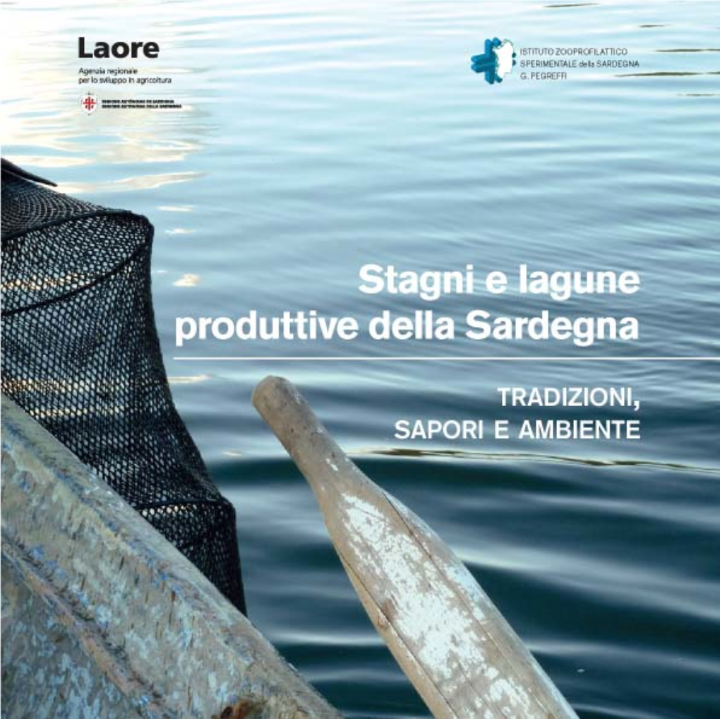 Stagni E Lagune Produttive Della Sardegna