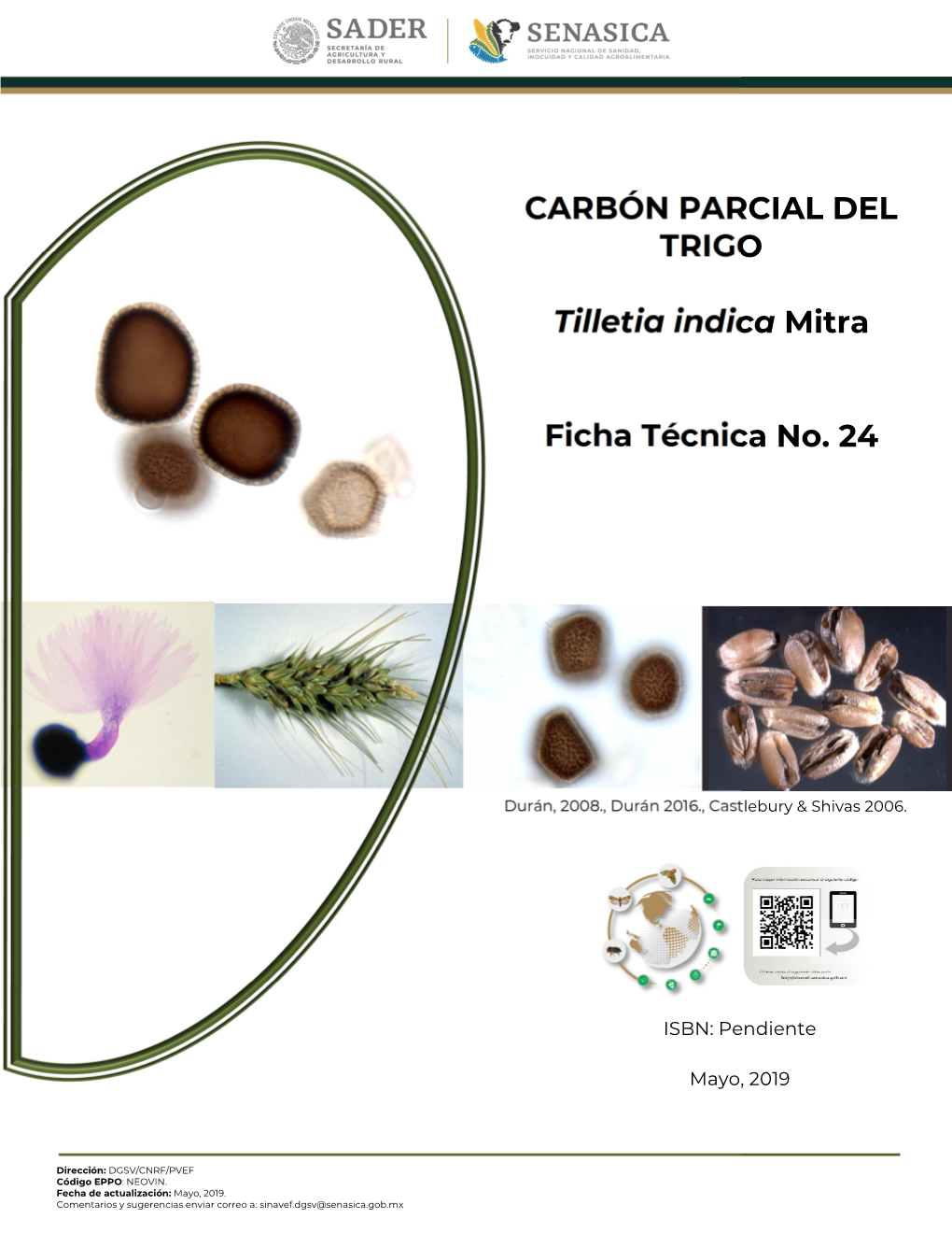 CARBÓN PARCIAL DEL TRIGO Tilletia Indica Mitra Ficha Técnica