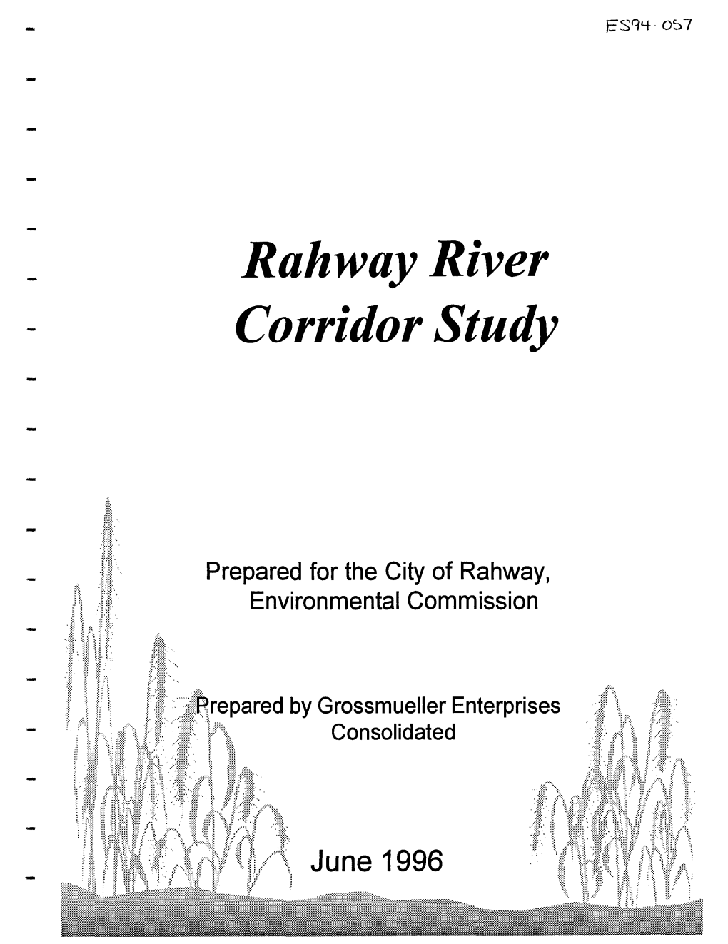 Rahway River Corridor Study