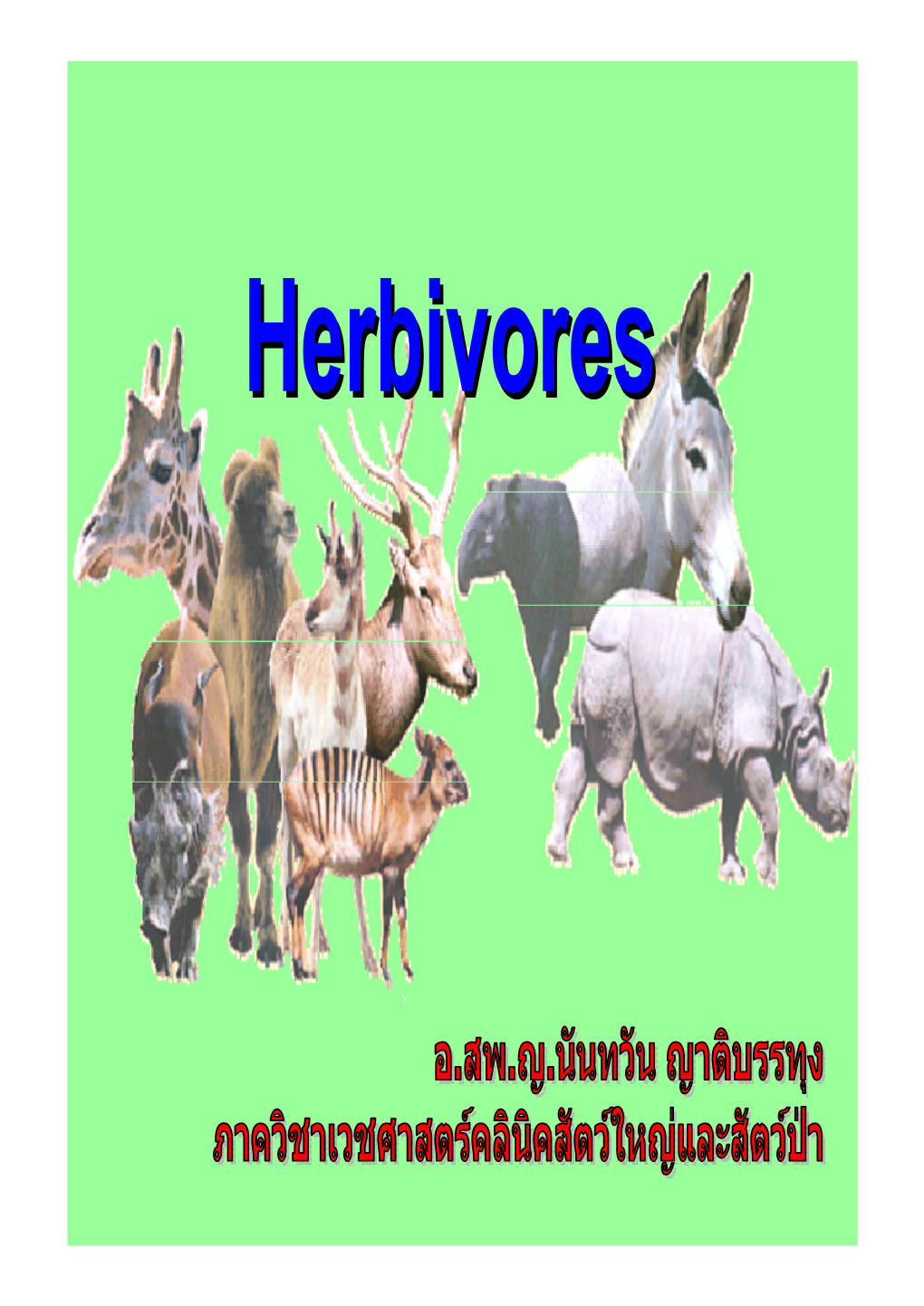 Herbivoresherbivores Whatwhat Isis Herbivore?Herbivore?