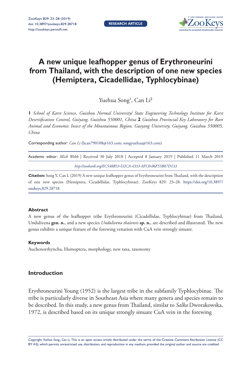 A New Unique Leafhopper Genus of Erythroneurini from Thailand