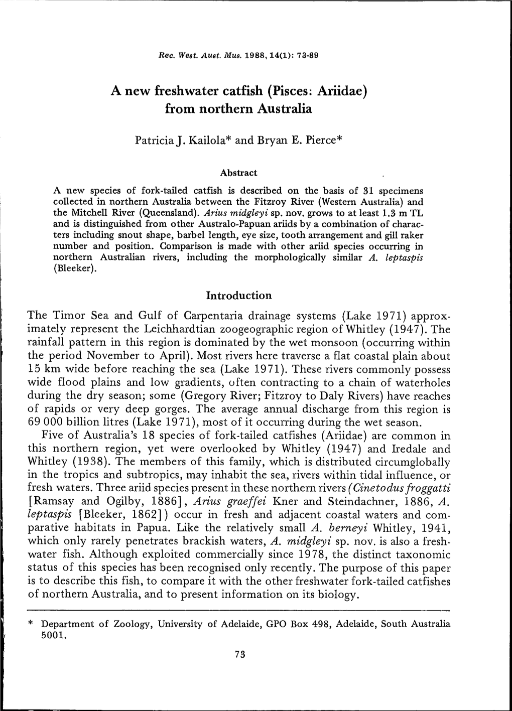 A New Freshwater Catfish (Pisces: Ariidae) from Northern Australia