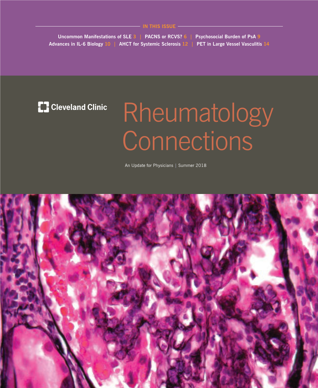 Rheumatology Connections