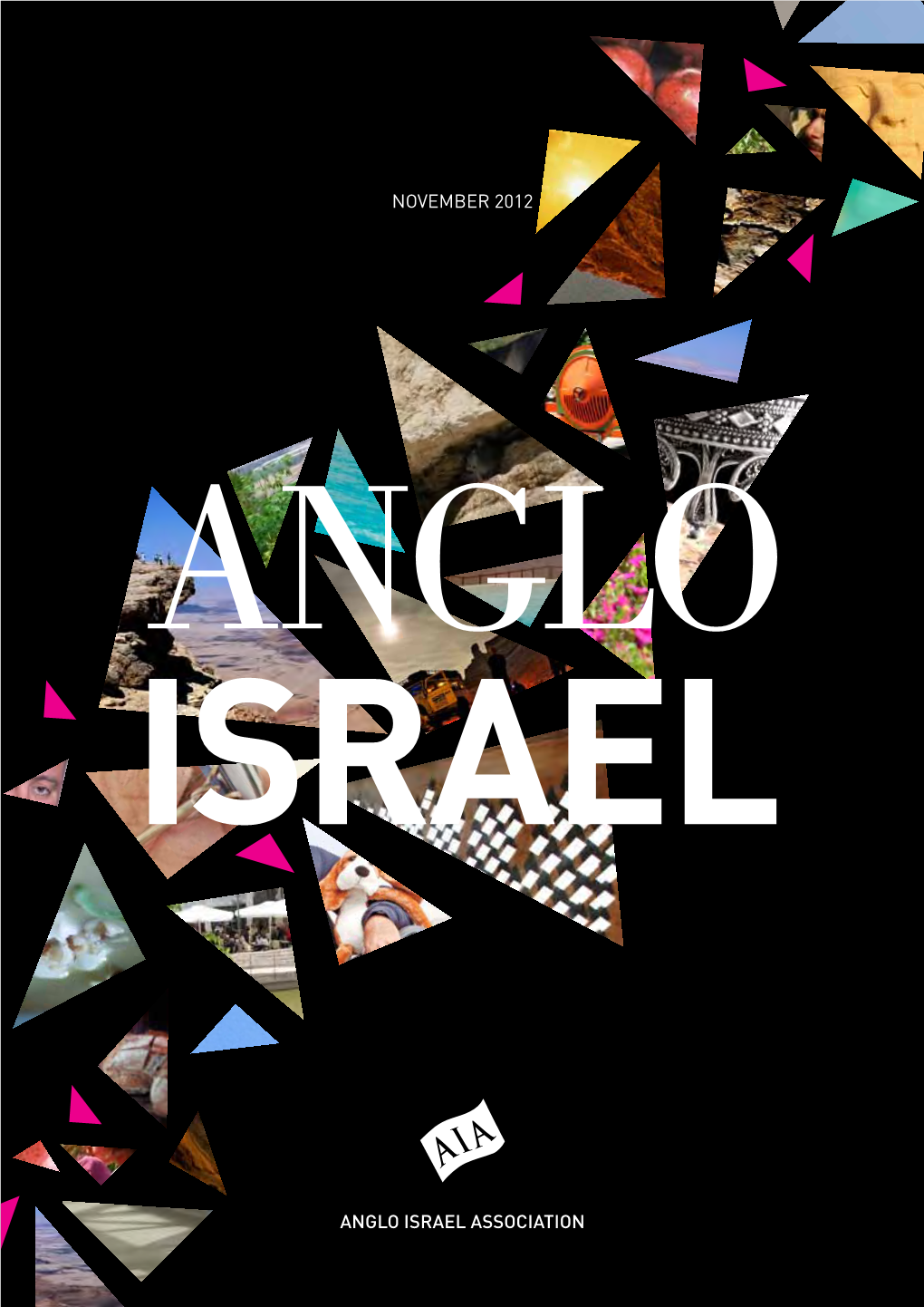 Anglo Israel Association November 2012