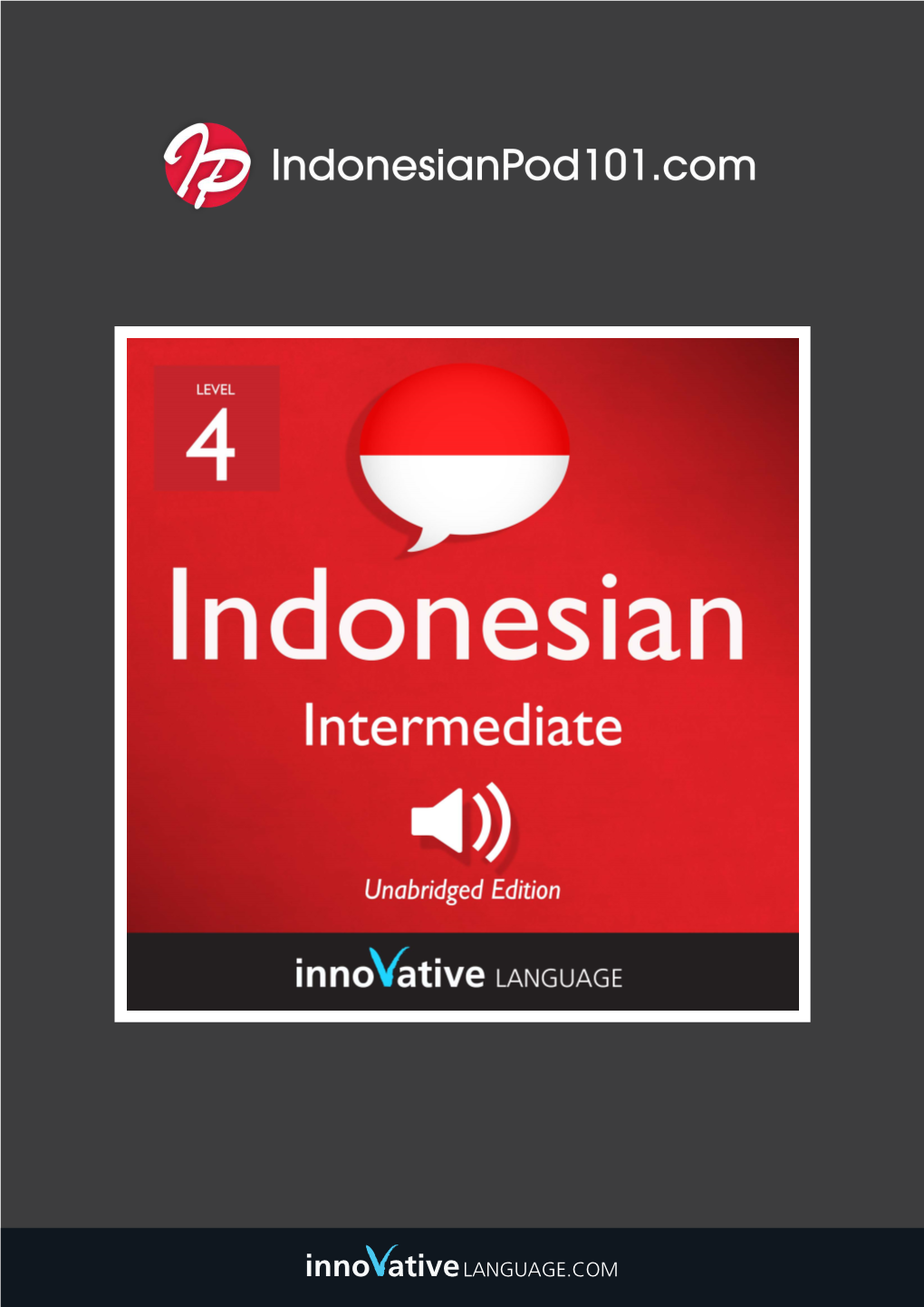 LESSON NOTES Intermediate S1 #1 an Indonesian Job Interview