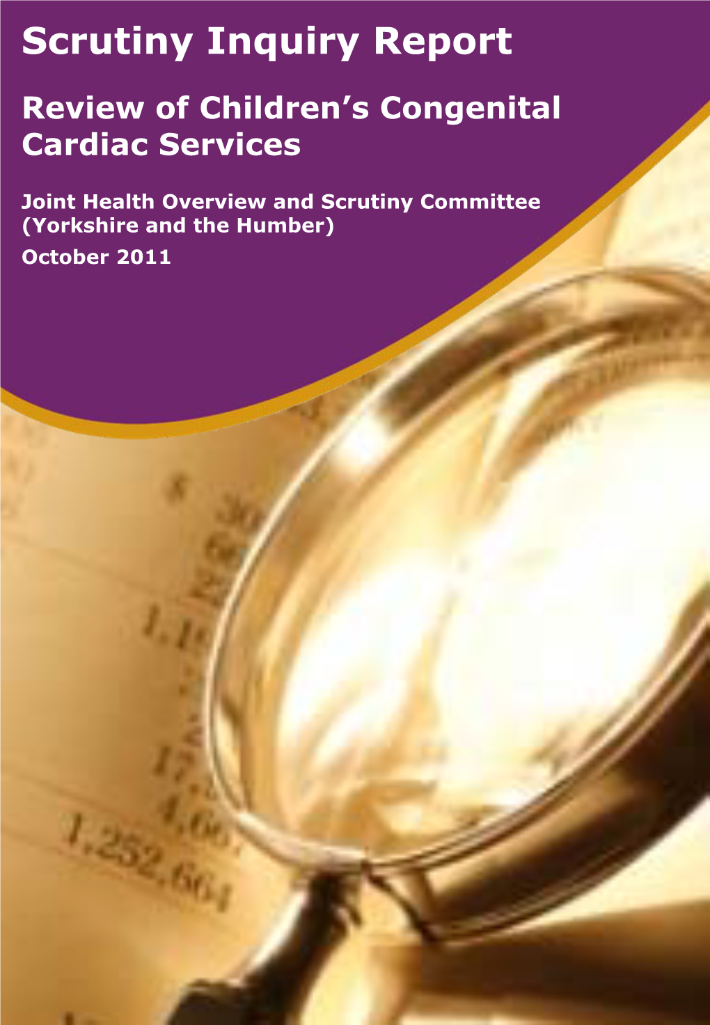 Scrutiny Inquiry Report