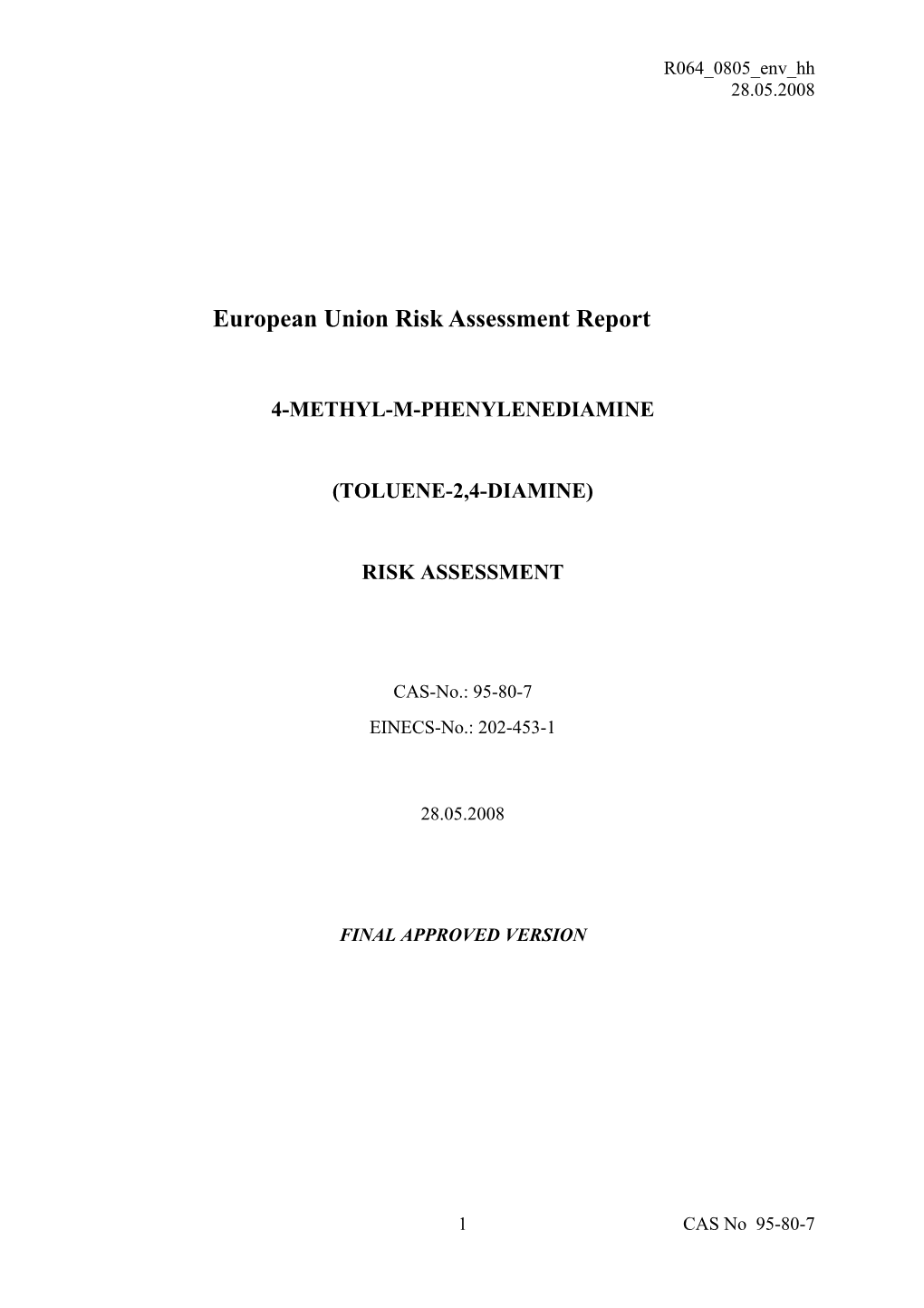 Risk Assessment Report