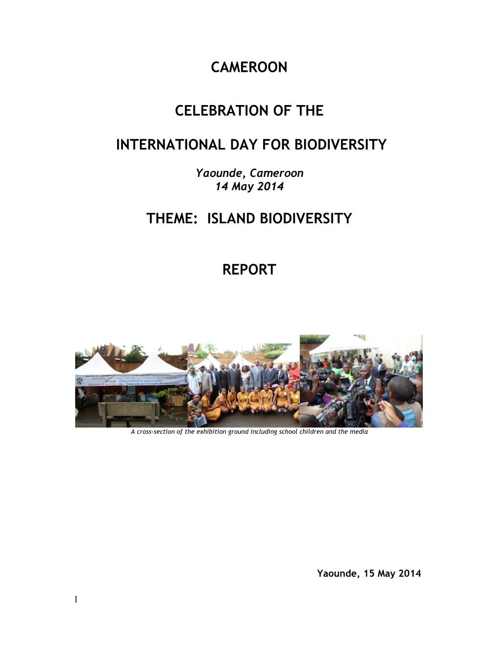 Report on the IDB2014 Celebrations in Cameroon