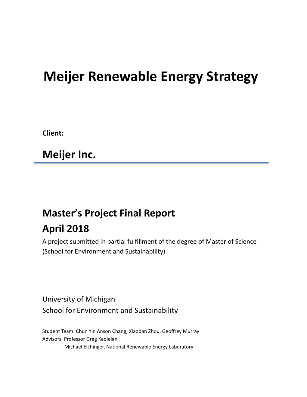 Meijer Renewable Energy Strategy