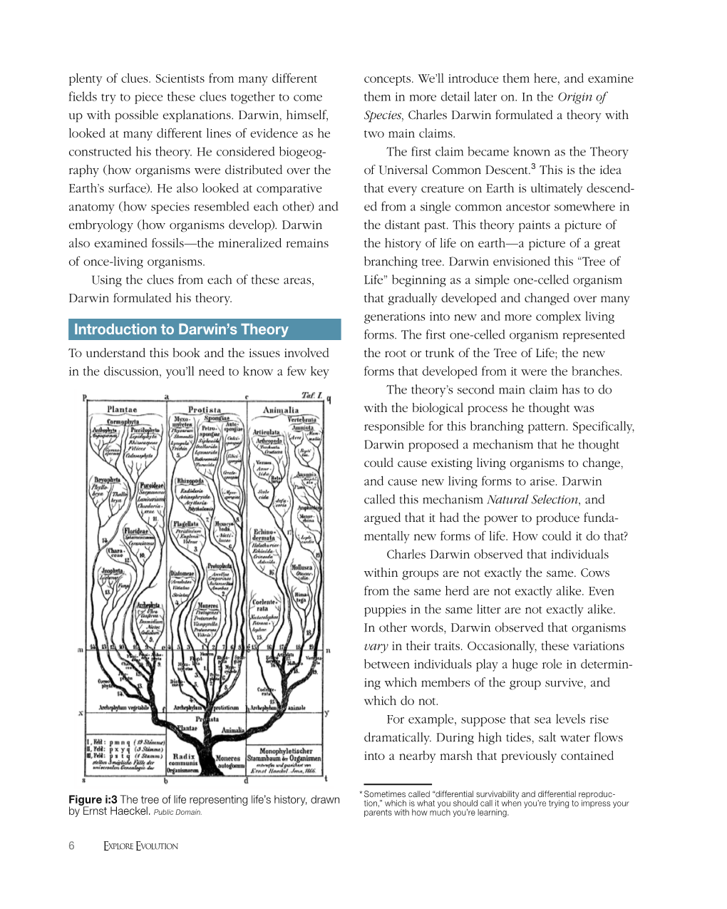 Introduction to Darwin's Theory