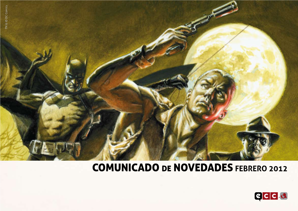 Comunicado De Novedadesfebrero 2012