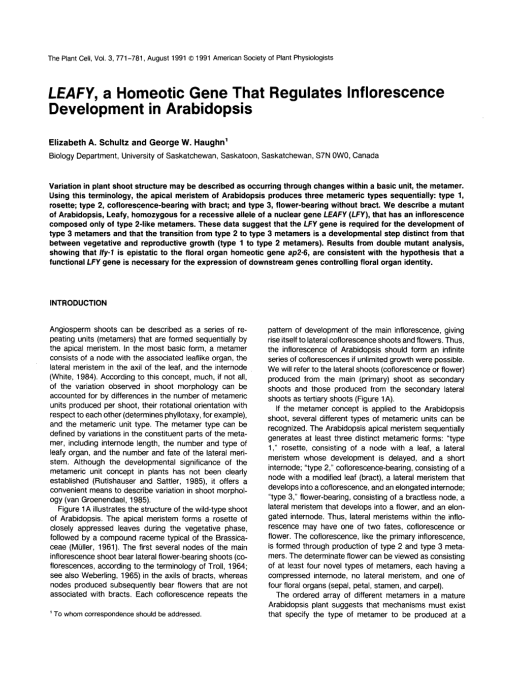 LEAFY, a Homeotic Gene That Regulates Lnflorescence Development in Arabidopsis