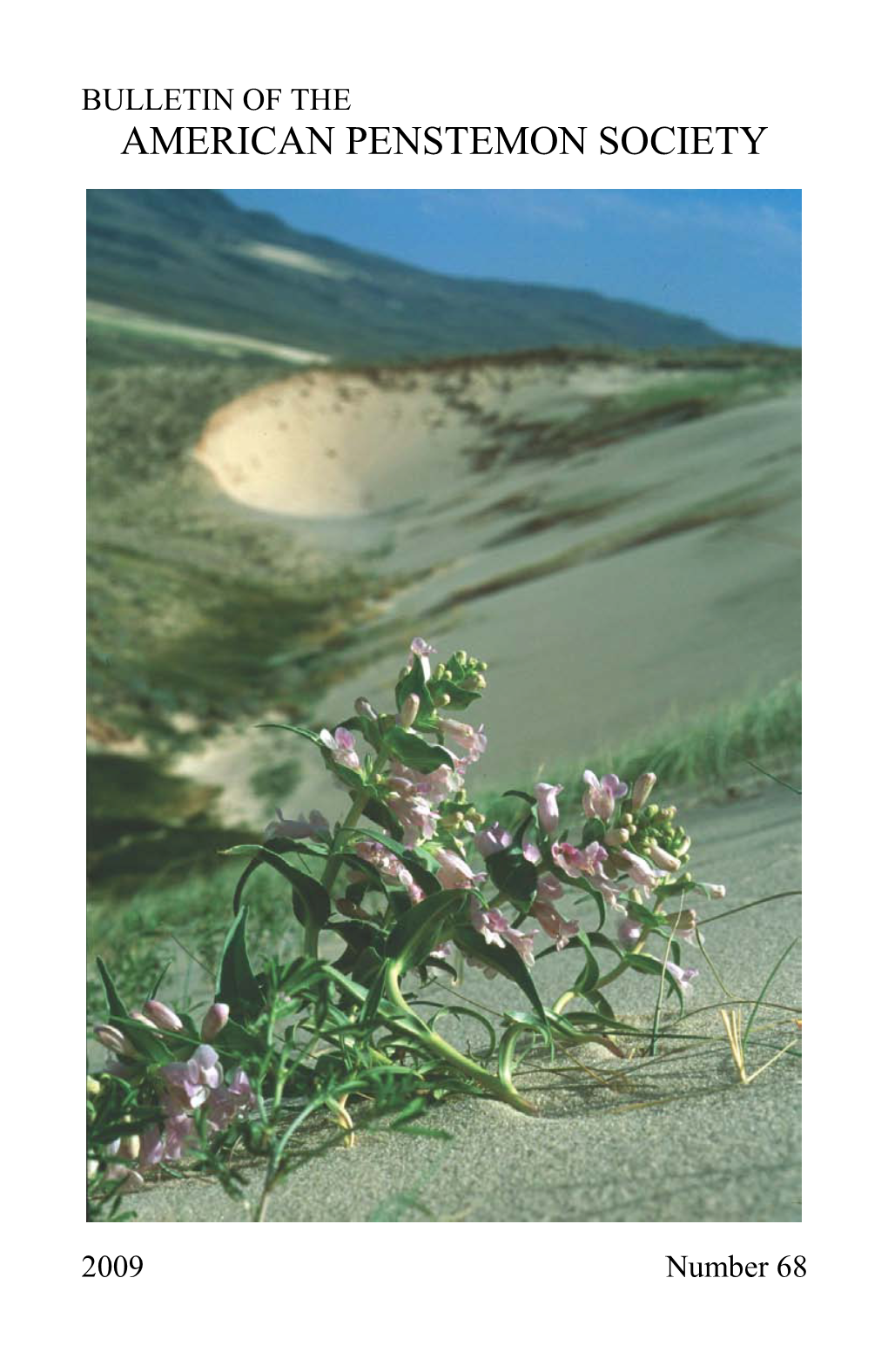 Penstemon Fremontii