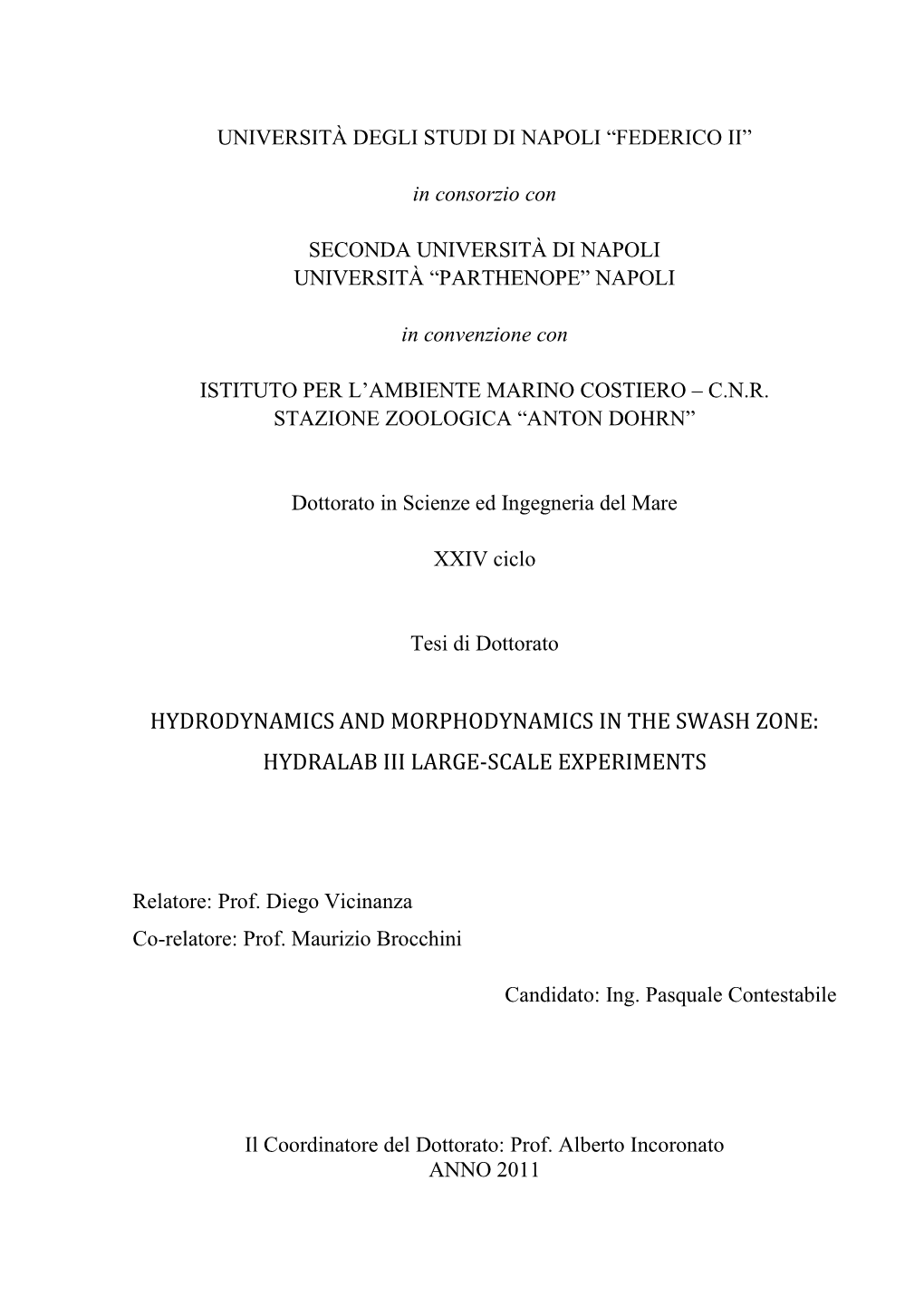 Hydrodynamics and Morphodynamics in the Swash Zone: Hydralab Iii Large-Scale Experiments