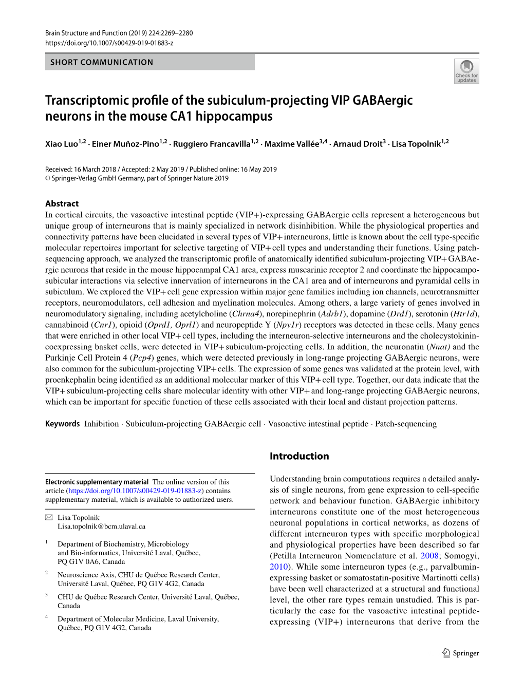 Transcriptomic Profile of the Subiculum-Projecting VIP Gabaergic Neurons in the Mouse CA1 Hippocampus