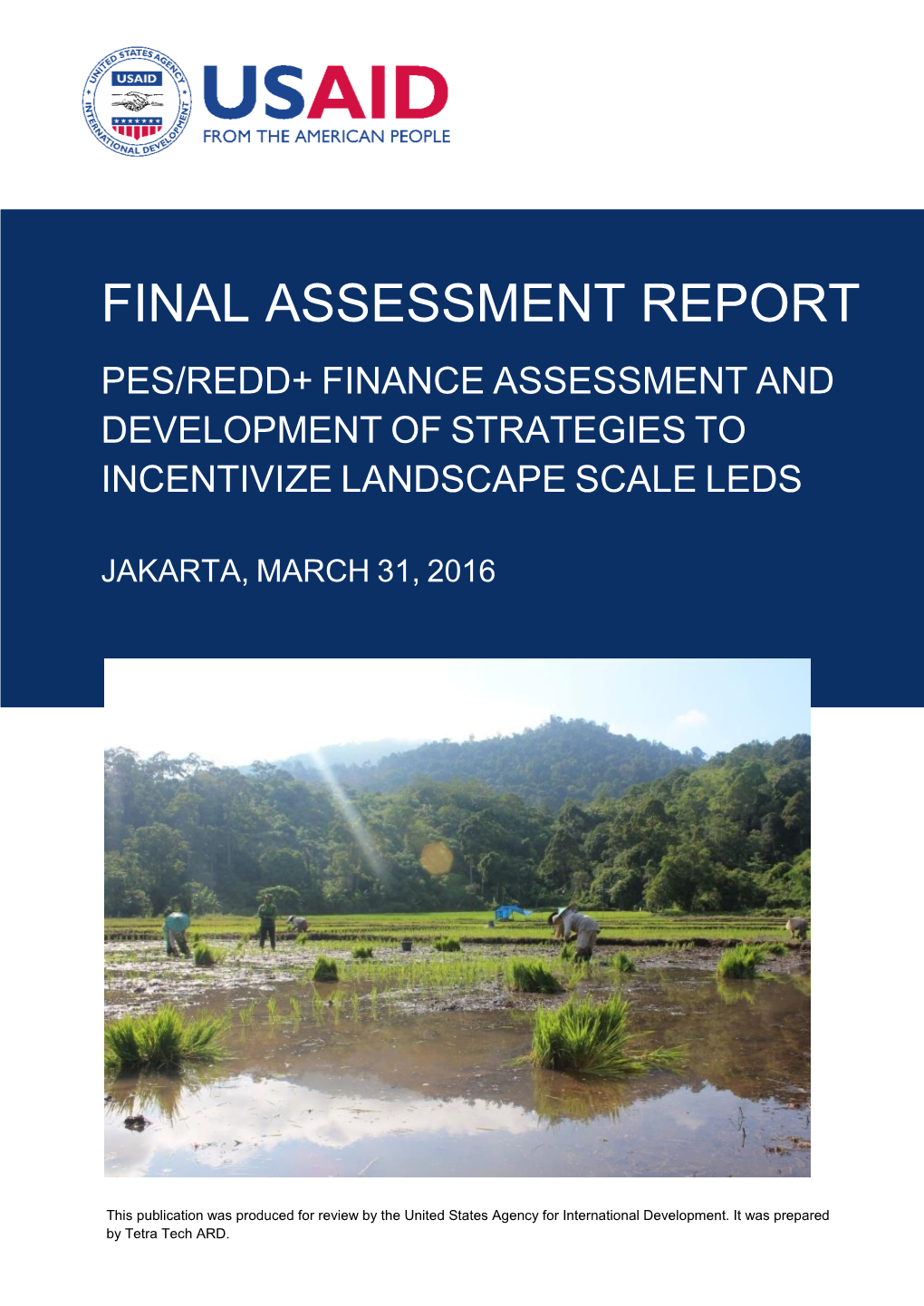 Final Assessment Report