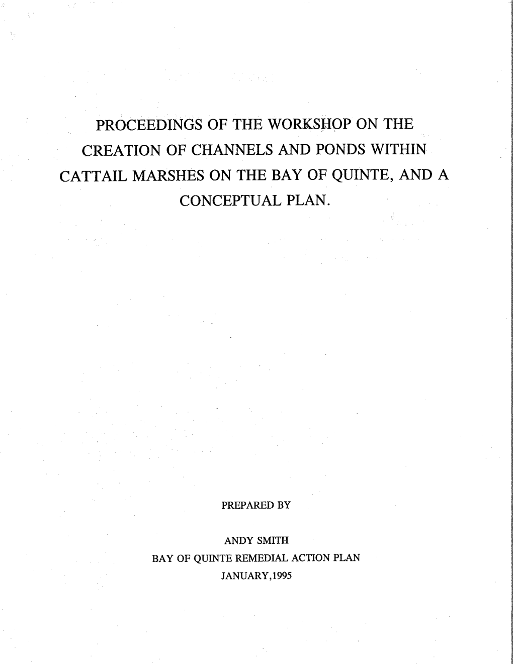 Proceedings of the Workshop on the Creation of Channels and Ponds Within Cattail Marshes on the Bay of Quinte, and a Conceptual Plan