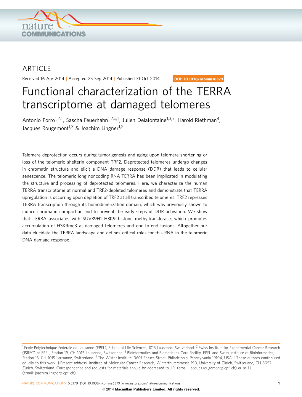 Functional Characterization of the TERRA Transcriptome at Damaged Telomeres