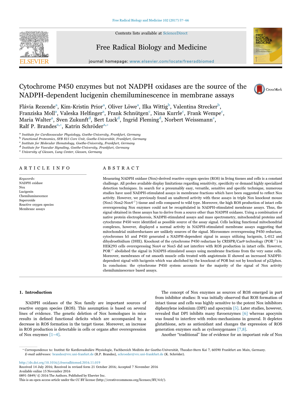 Cytochrome P450 Enzymes but Not NADPH Oxidases Are the Source of the MARK NADPH-Dependent Lucigenin Chemiluminescence in Membrane Assays